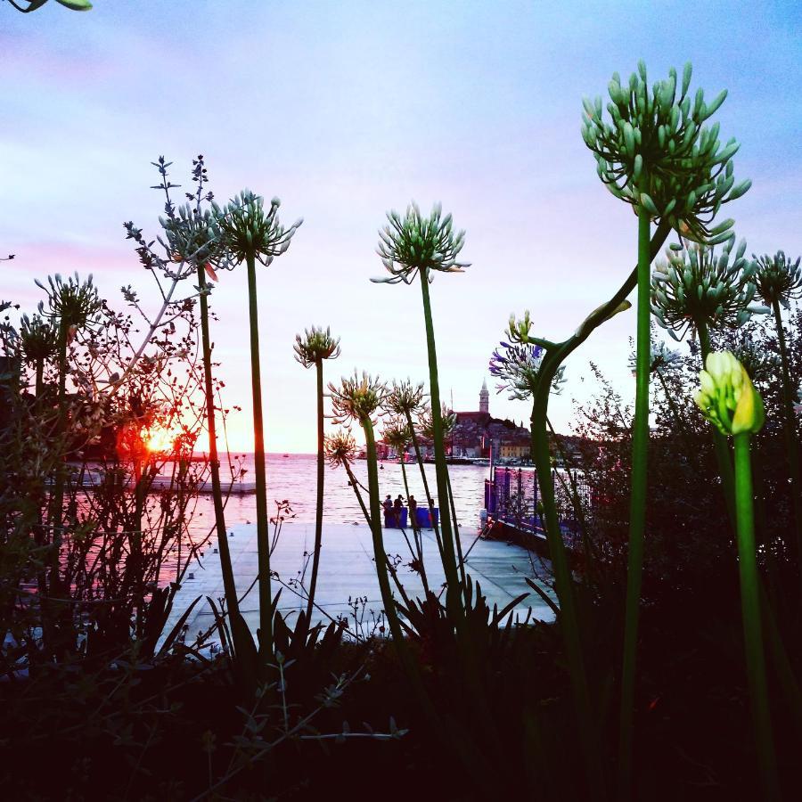 Casa Valeluna Rovinj Buitenkant foto